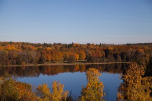 Höst vid Mälaren